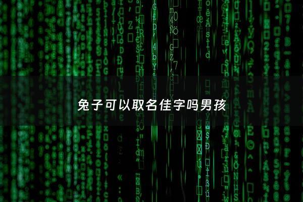 兔子可以取名佳字吗男孩 - 兔子取名字他能听懂么