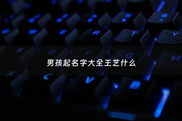 男孩起名字大全王艺什么 - 男宝宝叫王艺什么