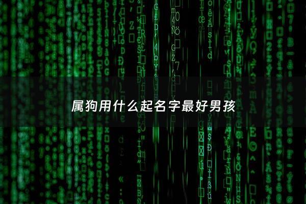属狗用什么起名字最好男孩 - 属狗的男孩起名用什么字合适?