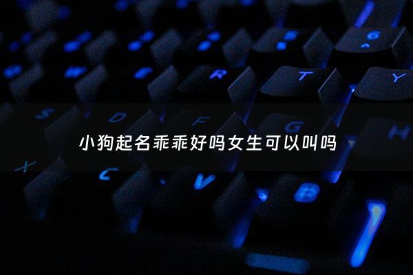 小狗起名乖乖好吗女生可以叫吗 - 乖小狗狗起什么名字好漂亮