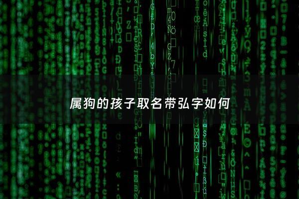 属狗的孩子取名带弘字如何 - 属狗的宝宝名字用什么字比较好