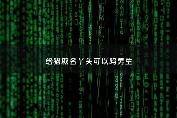 给猫取名丫头可以吗男生 - 给猫起个名字特别萌的男猫