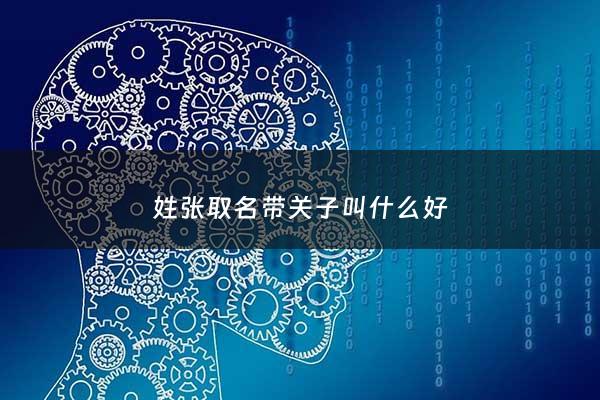 姓张取名带关子叫什么好 - 姓张带子的男孩名字大全