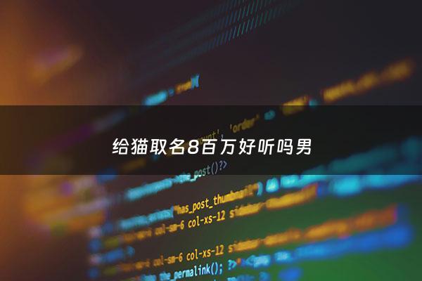 给猫取名8百万好听吗男 - 猫给猫取名字