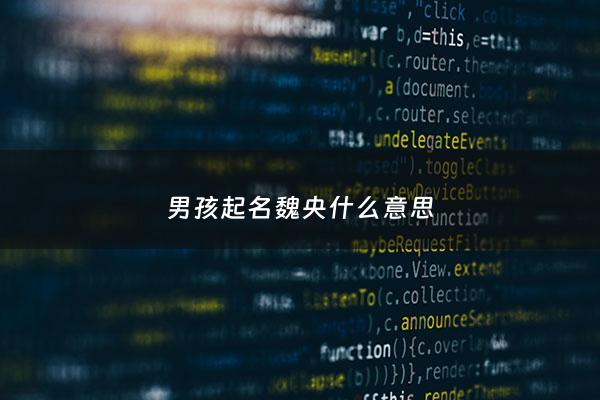 男孩起名魏央什么意思 - 魏央名字好吗