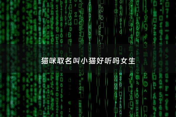 猫咪取名叫小猫好听吗女生 - 猫咪取名叫小猫好听吗女生名字