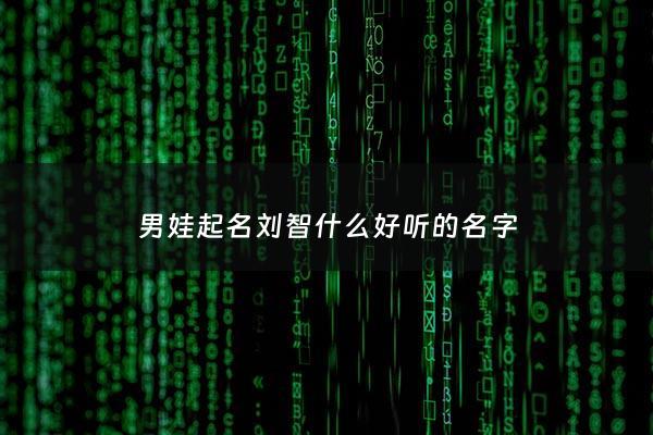 男娃起名刘智什么好听的名字 - 刘智什么的名字好听男孩