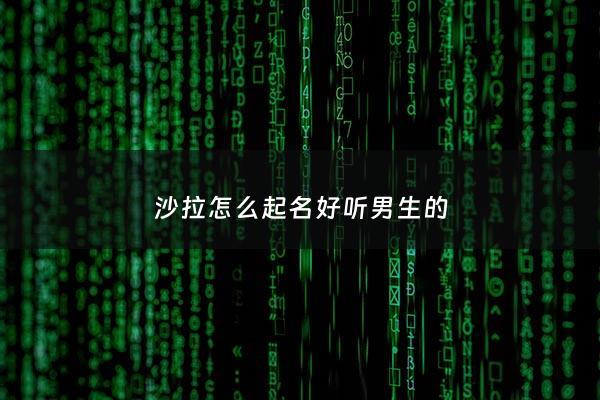 沙拉怎么起名好听男生的 - 沙拉怎么起名好听男生的名字
