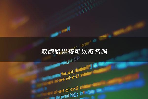 双胞胎男孩可以取名吗 - 双胞胎男孩子起名
