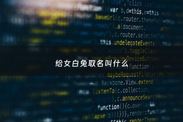 给女白兔取名叫什么 - 白兔取什么名字好听