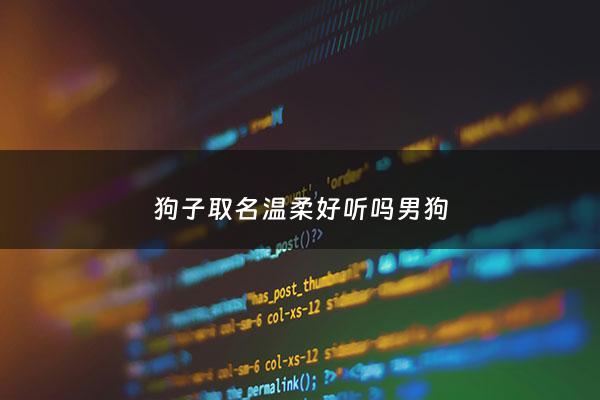 狗子取名温柔好听吗男狗 - 狗子取名温柔好听吗男狗名字