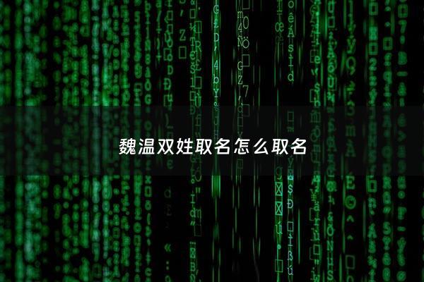 魏温双姓取名怎么取名 - 姓魏的双胞胎名字