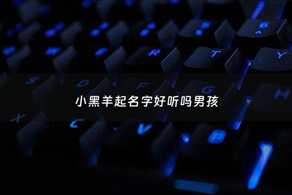 小黑羊起名字好听吗男孩 - 小黑羊nano
