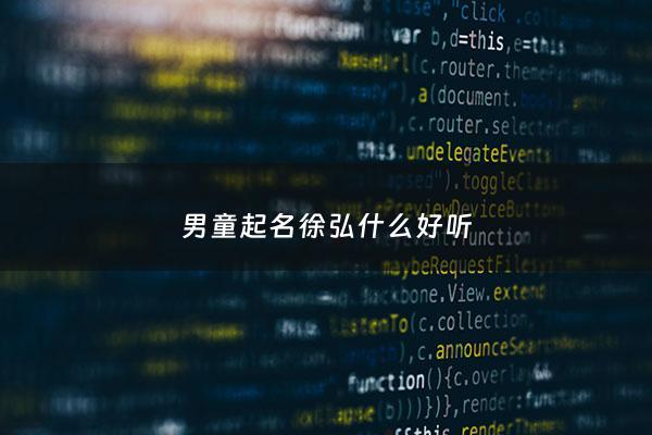 男童起名徐弘什么好听 - 徐弘睿的寓意