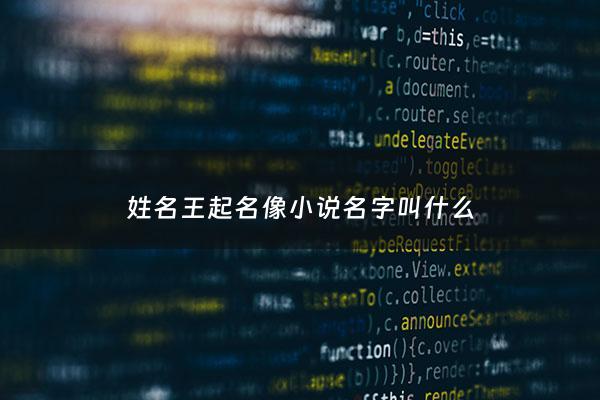 姓名王起名像小说名字叫什么 - 小说姓王的名字