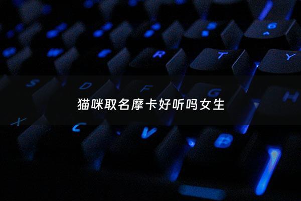 猫咪取名摩卡好听吗女生 - 有猫的名字叫摩卡吗