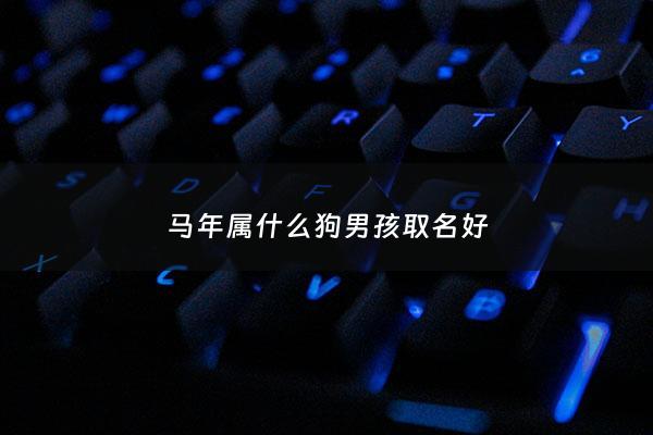马年属什么狗男孩取名好 - 马姓属狗男孩名字大全