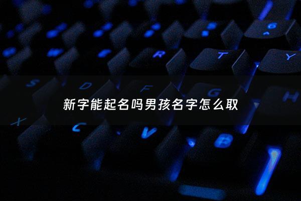 新字能起名吗男孩名字怎么取 - 新字男孩子可以取什么名字