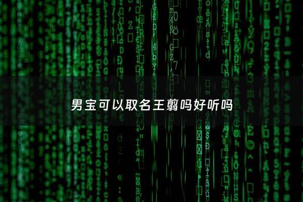 男宝可以取名王翦吗好听吗 - 王翦别名