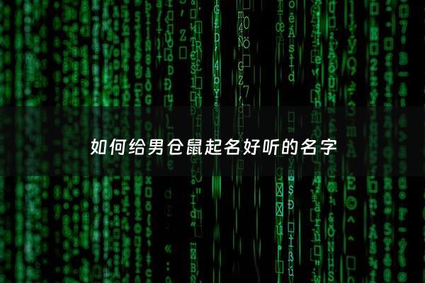 如何给男仓鼠起名好听的名字 - 给仓鼠取可爱的名字怎么取?