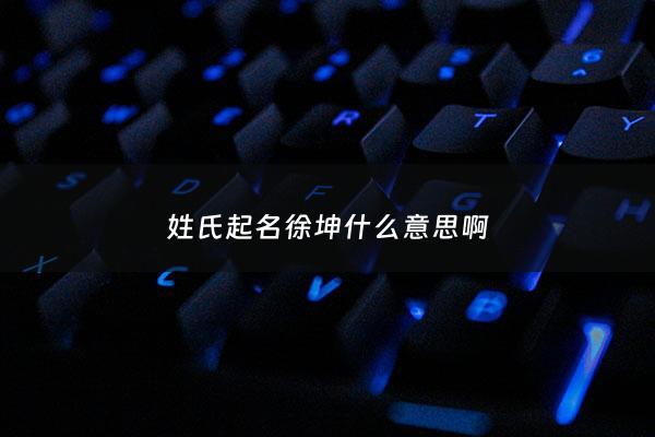 姓氏起名徐坤什么意思啊 - 徐坤的意思