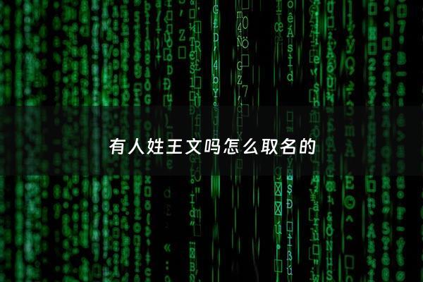 有人姓王文吗怎么取名的 - 宝宝名字叫王文什么好