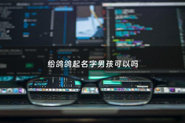 给鸽鸽起名字男孩可以吗 - 给小鸽子取名字