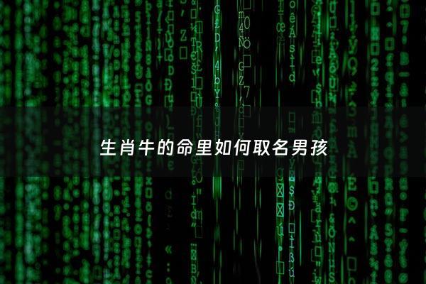 生肖牛的命里如何取名男孩 - 属牛的怎么起名字男孩