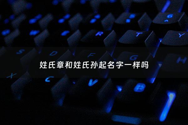 姓氏章和姓氏孙起名字一样吗 - 姓氏章和姓氏孙起名字一样吗女孩