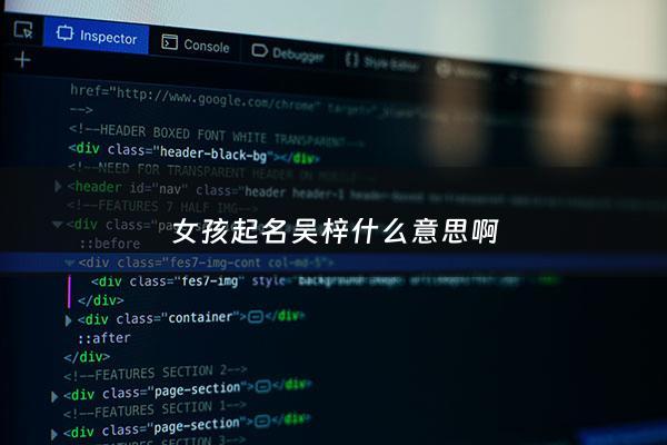 女孩起名吴梓什么意思啊 - 姓吴带梓男孩名字