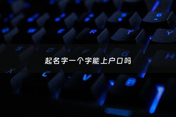 起名字一个字能上户口吗 - 孩子起名一个字不能上户口吗