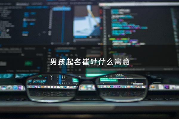 男孩起名崔叶什么寓意 - 崔什么名字好听的名字男孩