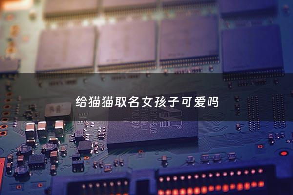 给猫猫取名女孩子可爱吗 - 宠物猫女孩名字