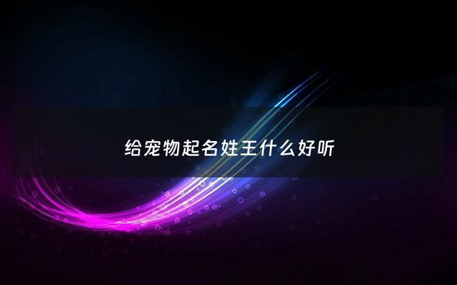 给宠物起名姓王什么好听 - 给宠物起名姓王什么好听点