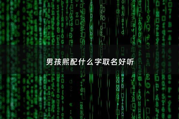 男孩熙配什么字取名好听 - 熙配什么字最好男孩