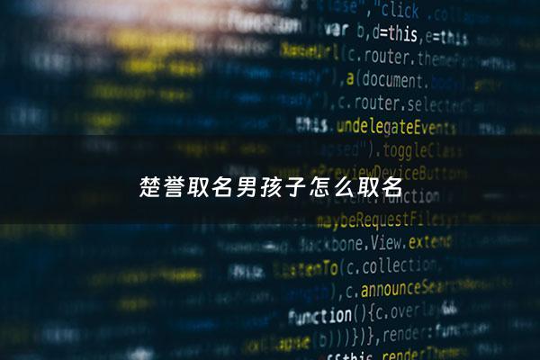 楚誉取名男孩子怎么取名 - 楚誉科技怎么样