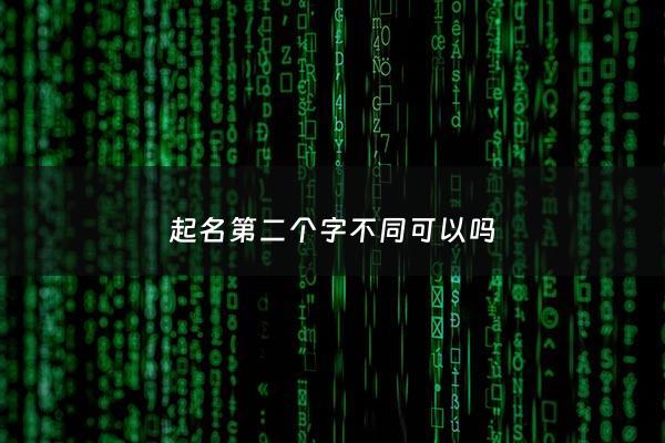 起名第二个字不同可以吗 - 第二个名字取名