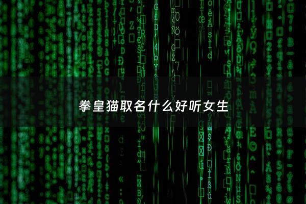 拳皇猫取名什么好听女生 - 拳皇猫取名什么好听女生可爱
