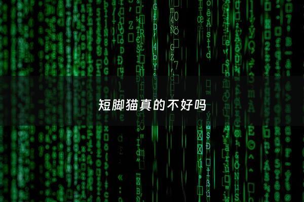 短脚猫真的不好吗 - 短脚猫是怎么回事