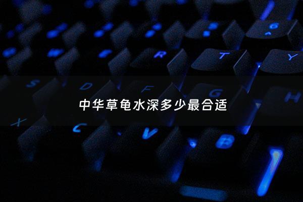 中华草龟水深多少最合适 - 中华草龟多深的水