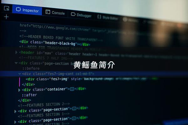 黄鳐鱼简介 - 黄鲚鱼图片