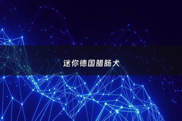 迷你德国腊肠犬 - 德国小腊肠狗