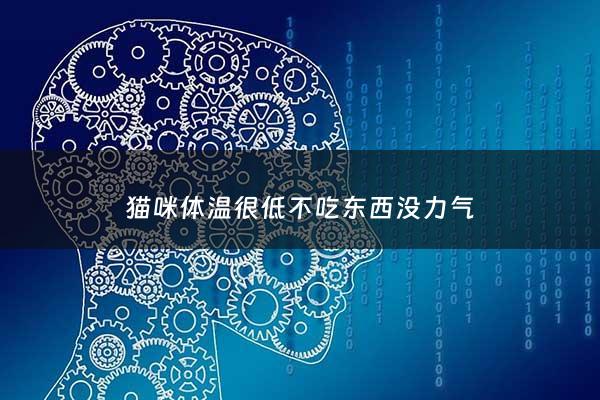 猫咪体温很低不吃东西没力气 - 猫咪体温低不吃饭没力气