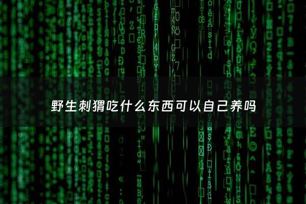 野生刺猬吃什么东西可以自己养吗 - 野生刺猬吃啥东西