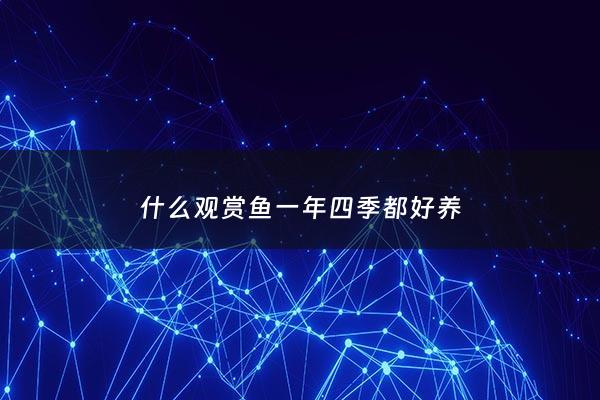 什么观赏鱼一年四季都好养 - 什么观赏鱼养的久