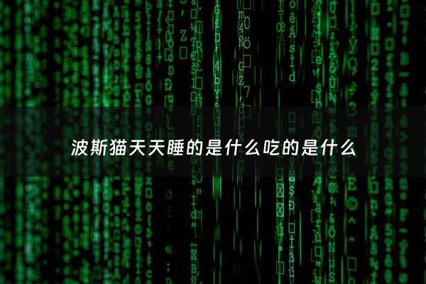 波斯猫天天睡的是什么吃的是什么 - 波斯猫一天的饭量