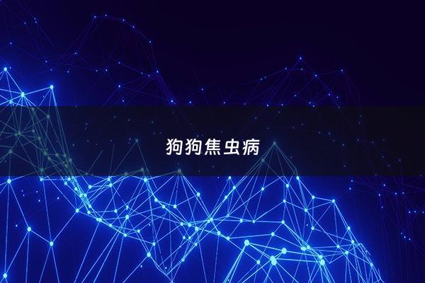狗狗焦虫病 - 狗狗焦虫病用什么药效果好