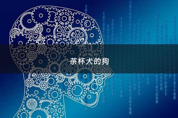 茶杯犬的狗 - 茶杯犬啥样