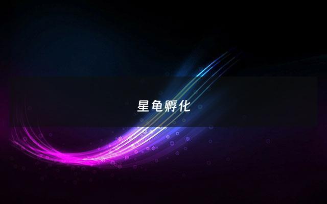 星龟孵化 - 星龟如何养