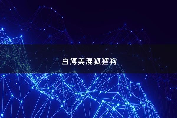 白博美混狐狸狗 - 博美和狐狸犬杂交品种